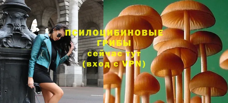 blacksprut ссылка  Миллерово  Псилоцибиновые грибы MAGIC MUSHROOMS 